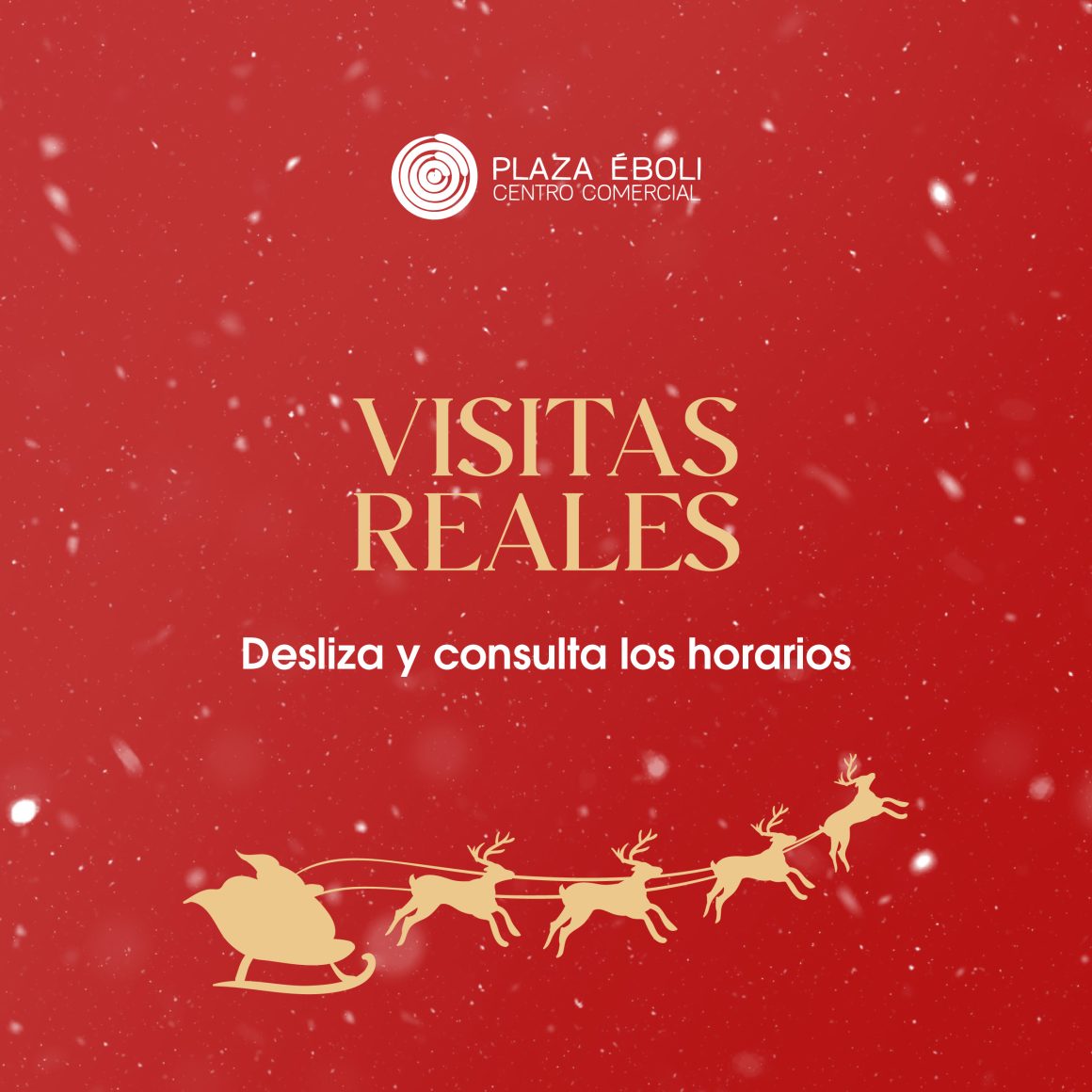 VISITAS REALES EN NAVIDAD VISITAS REALES EN NAVIDAD